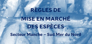 Recueil des règles de mise en marché des espèces