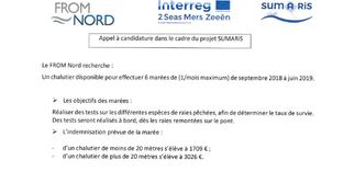 Projet SUMARiS : Appel à candidature - Chalutier