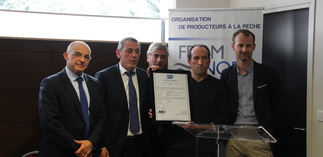 Remise du certificat MSC sole dans les locaux du FROM Nord 