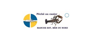 Filière Opale présente son nouveau Pin's : Homard de Casier