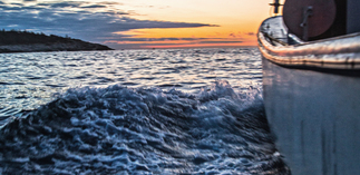 C’est la semaine de la pêche responsable 2021 !