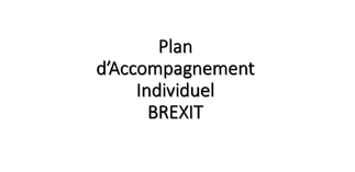 Plan d'accompagnement individuel (PAI)