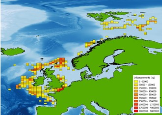 La production des adhérents du FROM Nord