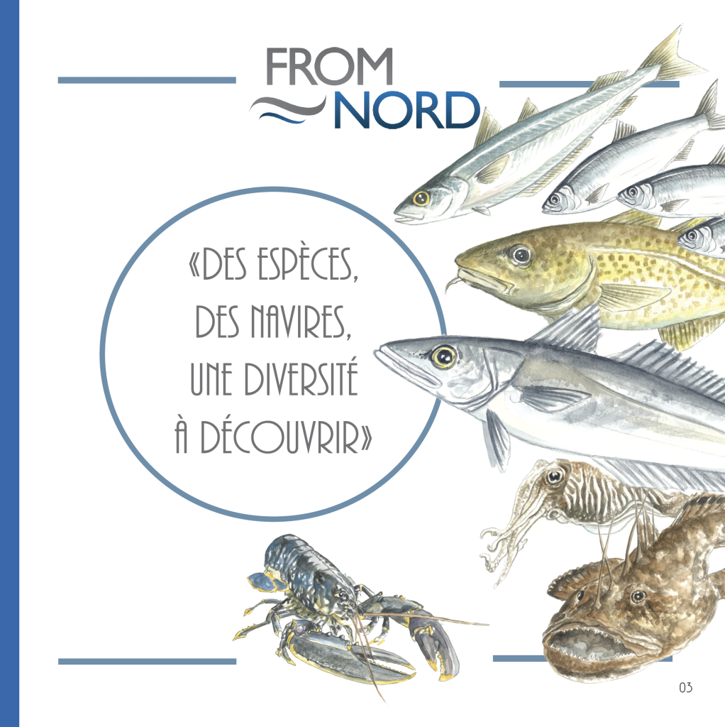 Le FROM Nord sort son livre !