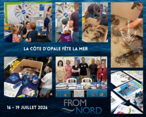 From nord aux fêtes de la Mer édition 2026